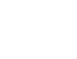 Logo Travelex Confidence